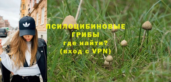гидропоника Абдулино