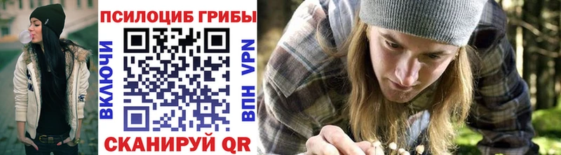 даркнет Telegram  наркота  Темников  Псилоцибиновые грибы Cubensis 