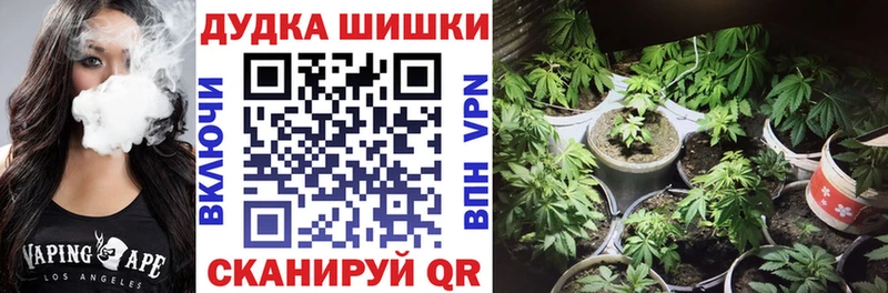 Марихуана сатива  где купить наркоту  ссылка на мегу ONION  Темников 